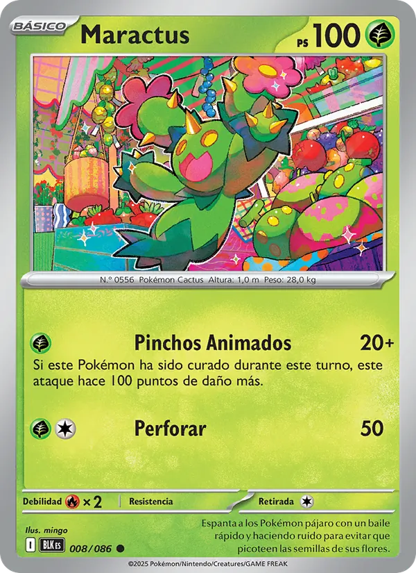 Maractus (BLK 008)