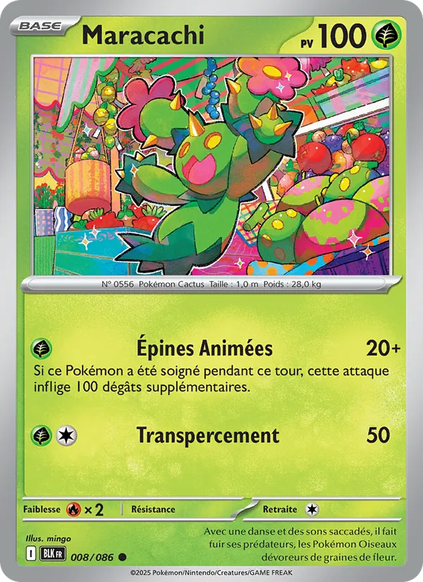 Maractus (BLK 008)