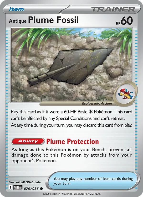 Antique Plume Fossil (WHT 079)