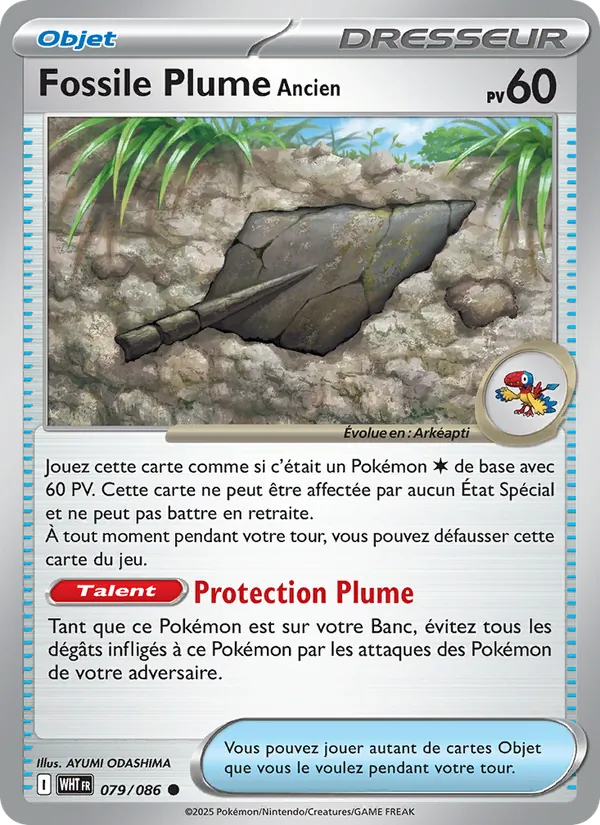 Antique Plume Fossil (WHT 079)