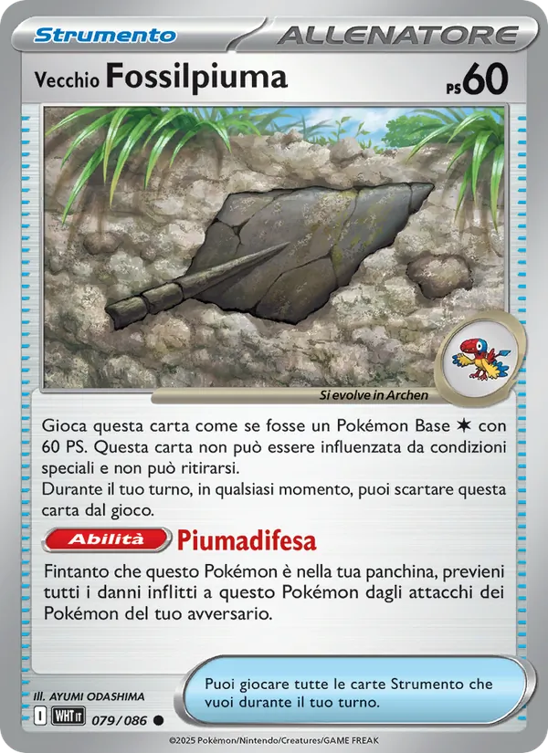 Antique Plume Fossil (WHT 079)