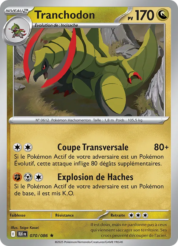 Haxorus (BLK 070)