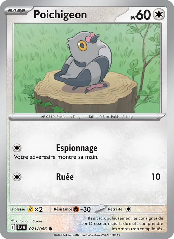 Pidove (BLK 071)