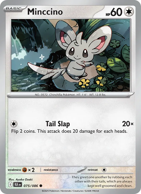 Minccino (BLK 075)