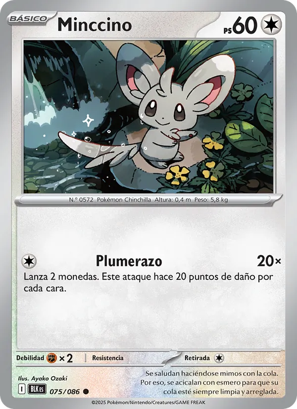Minccino (BLK 075)