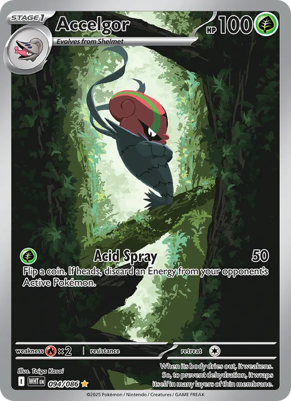 Accelgor (WHT 094)