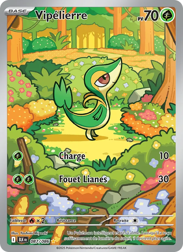 Snivy (BLK 087)