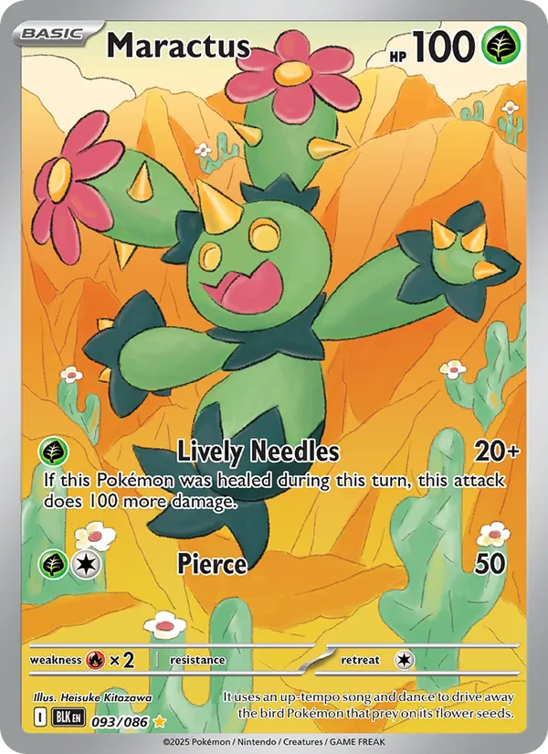 Maractus (BLK 093)