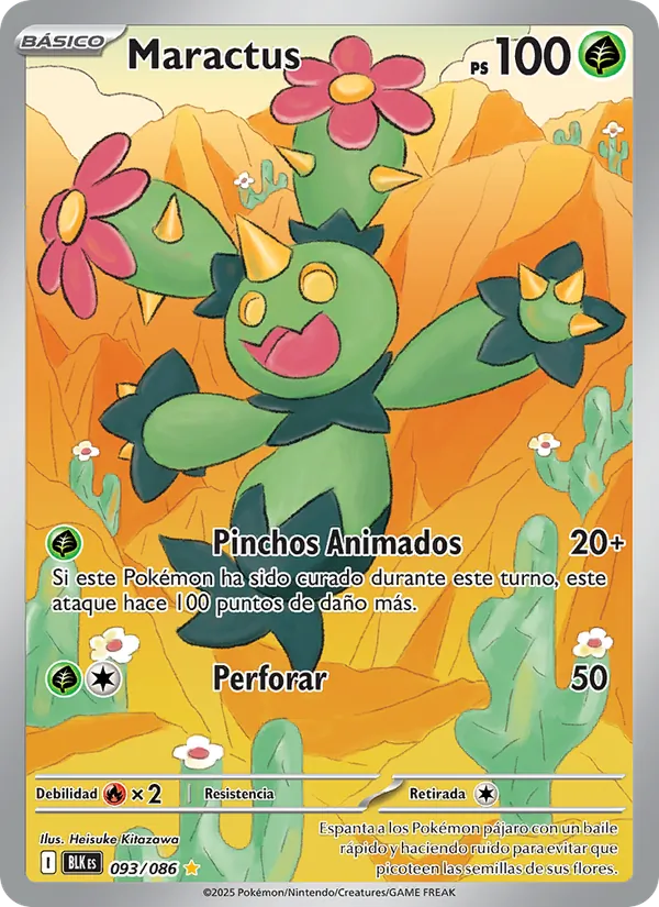 Maractus (BLK 093)