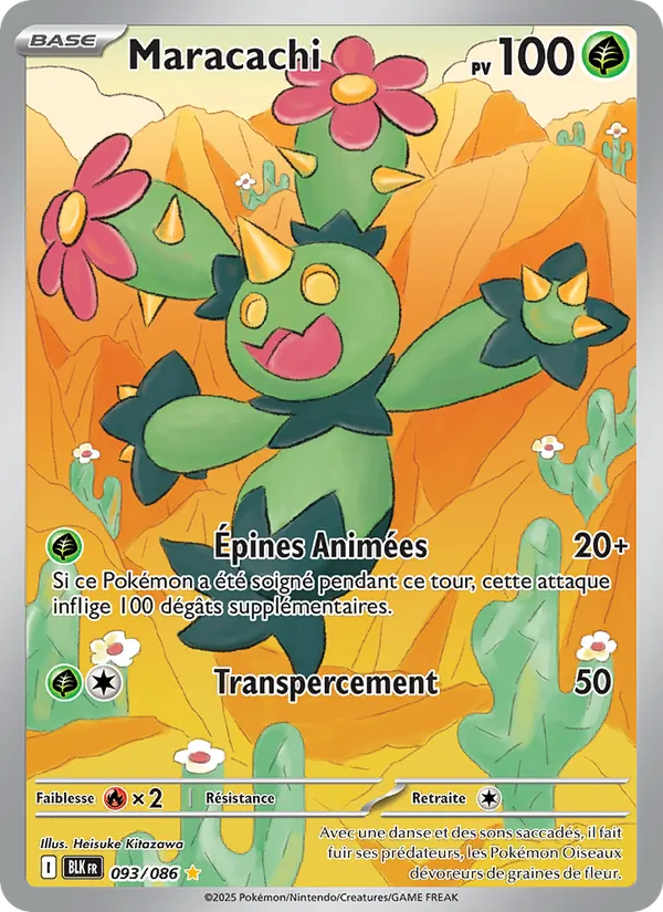 Maractus (BLK 093)