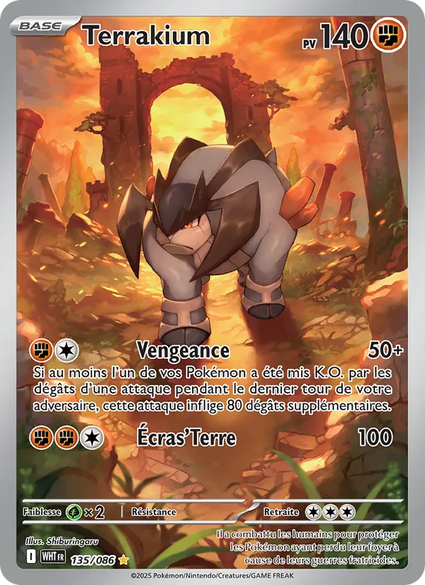 Terrakion (WHT 135)