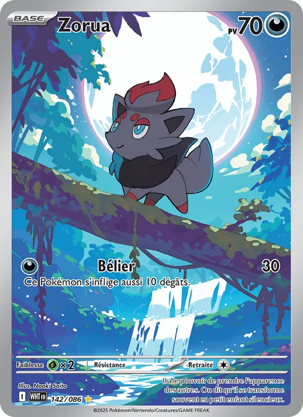 Zorua (WHT 142)