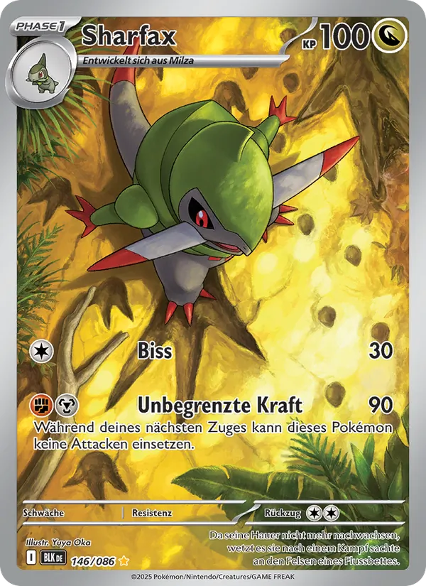 Sharfax (BLK 146)