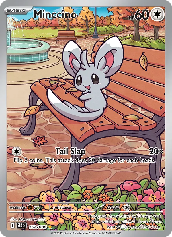 Minccino (BLK 152)