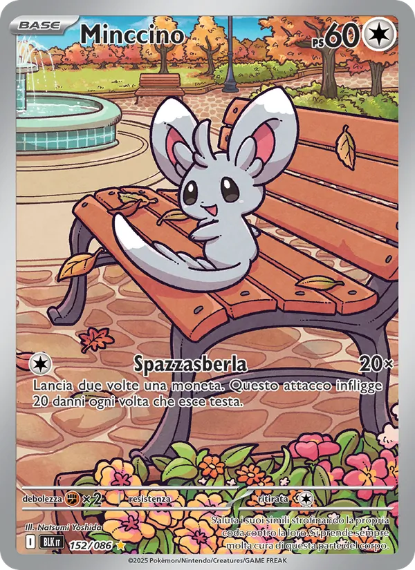 Minccino (BLK 152)