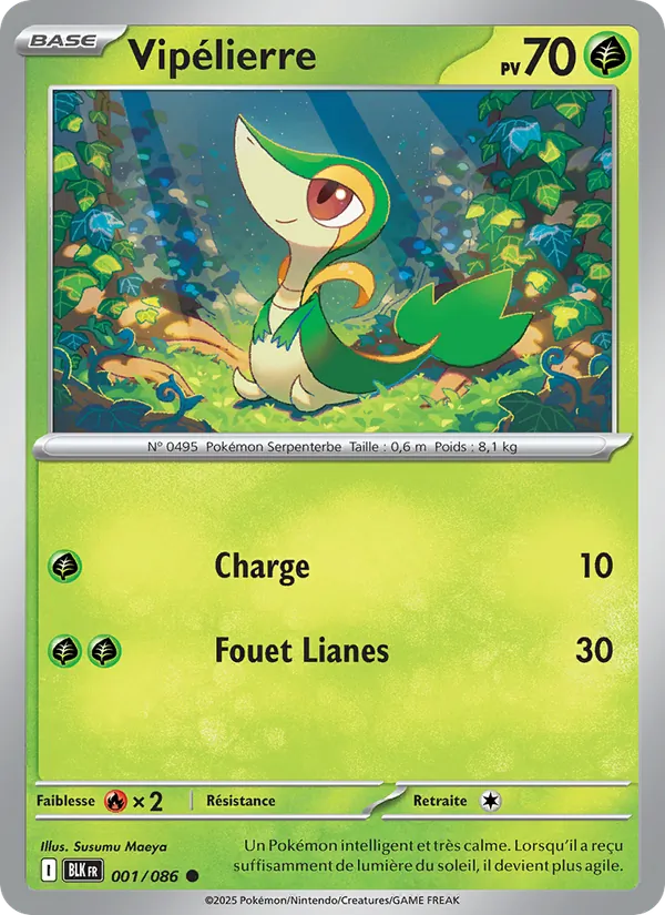 Snivy (xBLK 001)