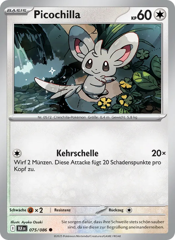 Picochilla (xBLK 075)