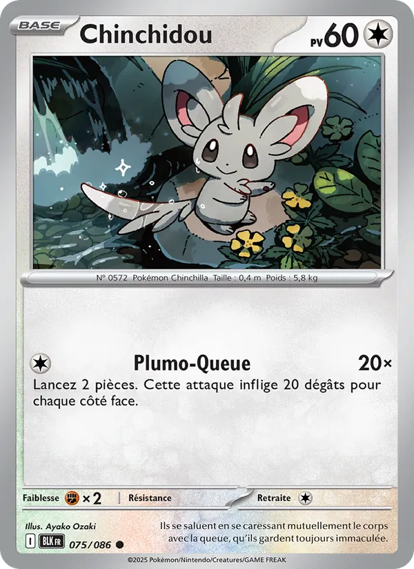 Minccino (xBLK 075)