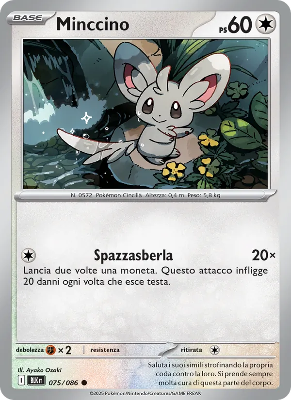 Minccino (xBLK 075)