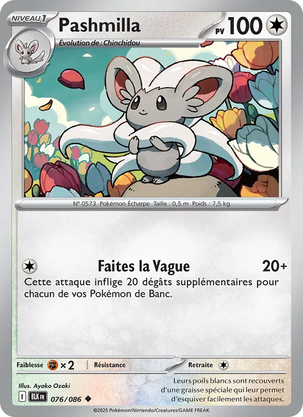 Cinccino (xBLK 076)