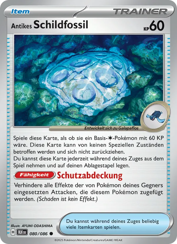 Antikes Schildfossil (xBLK 080)