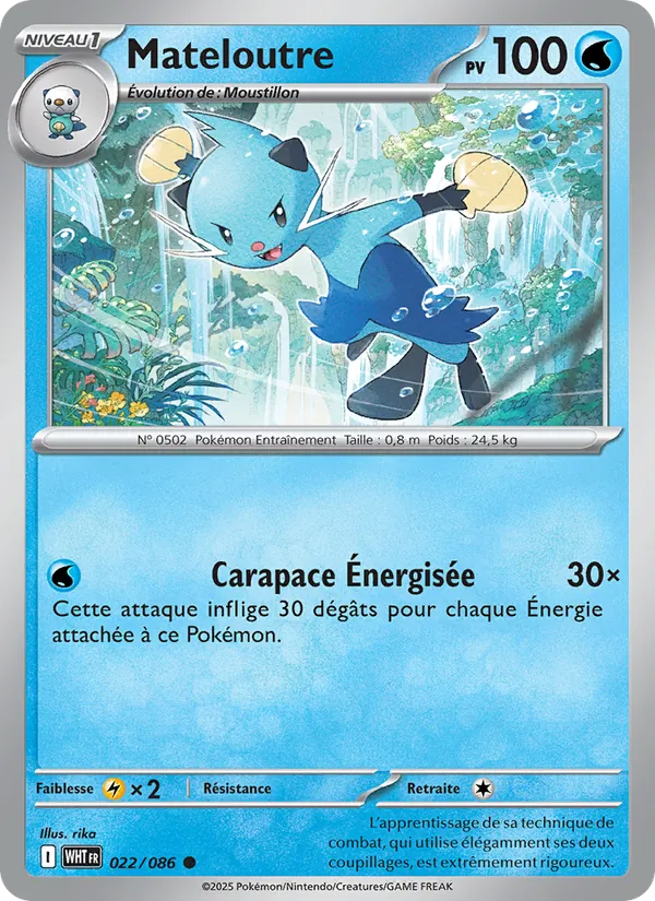 Dewott (xWHT 022)