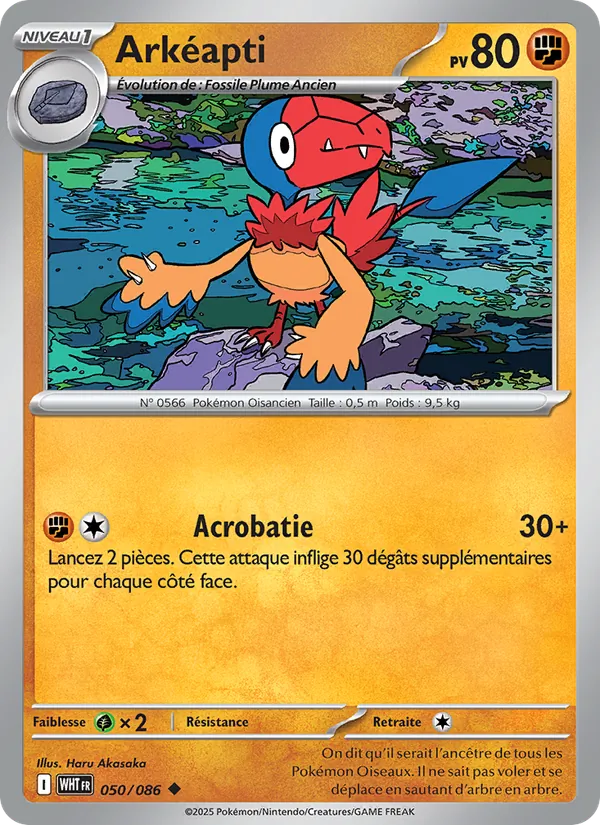 Archen (xWHT 050)