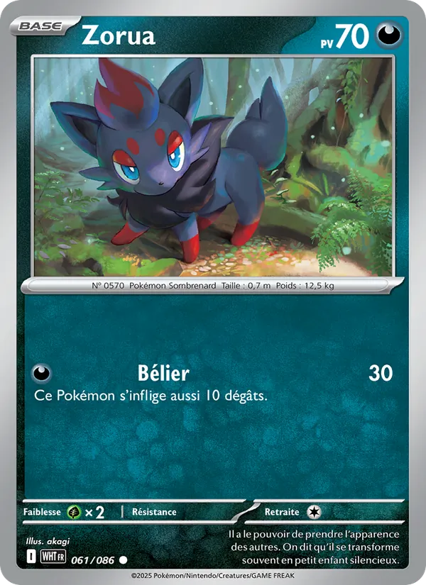 Zorua (xWHT 061)