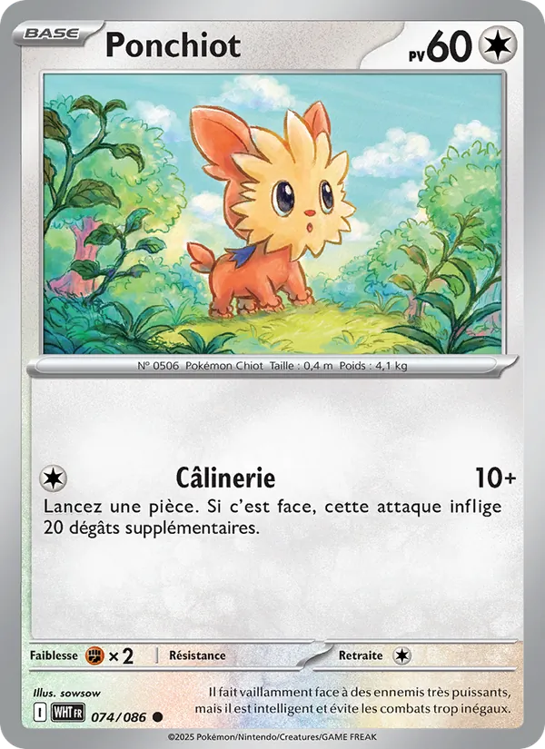 Lillipup (xWHT 074)