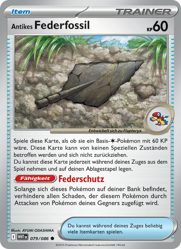 Antikes Federfossil (xWHT 079)