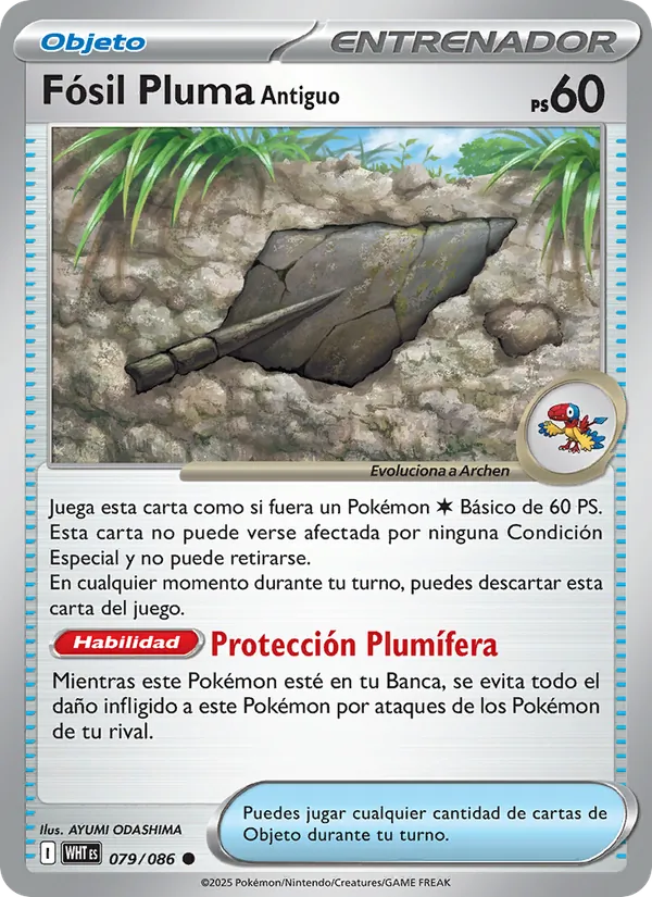 Antique Plume Fossil (xWHT 079)
