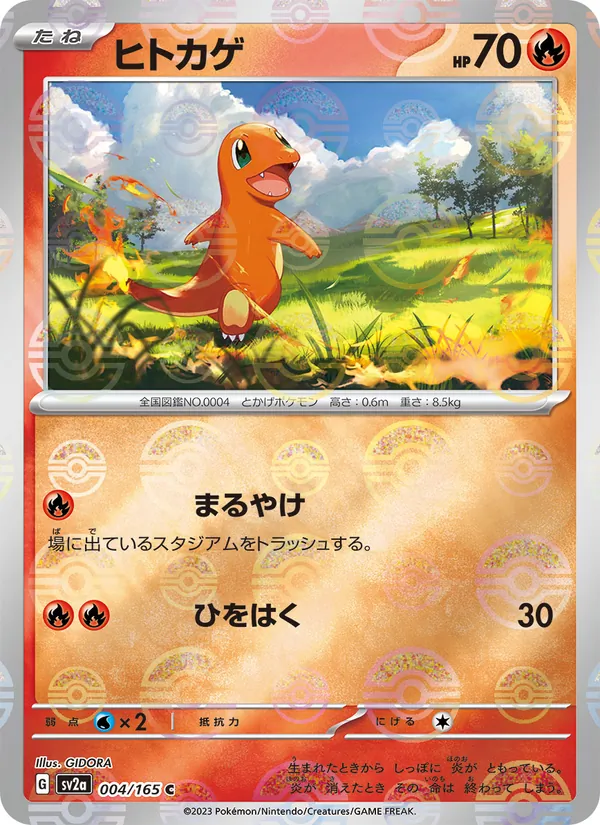 Charmander (xsv2a 004)