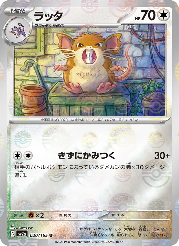 Raticate (xsv2a 020)