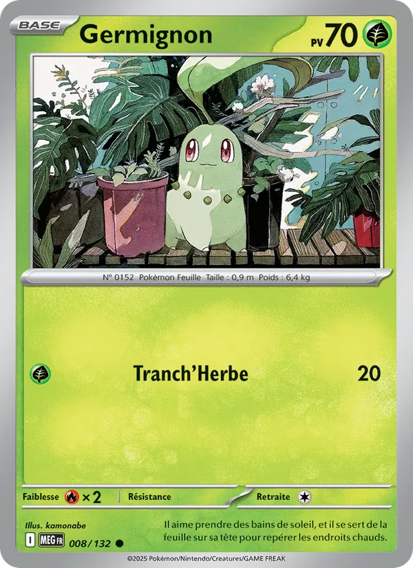 Chikorita (MEG 008)