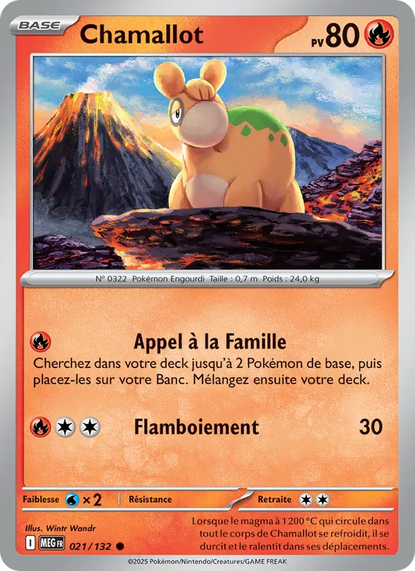 Numel (MEG 021)