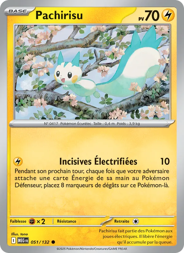 Pachirisu (MEG 051)