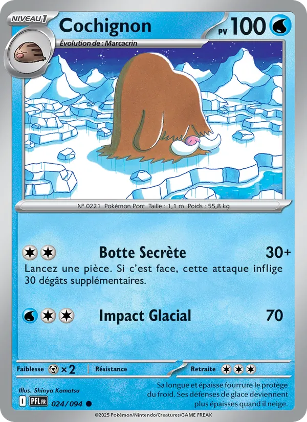 Piloswine (PFL 024)