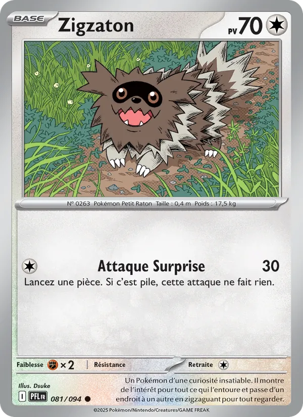 Zigzagoon (PFL 081)