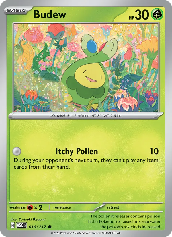 Budew (ASC 016)
