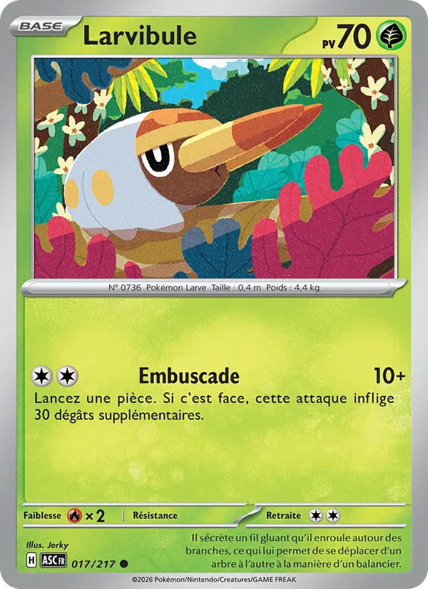 Larvibule (ASC 017)