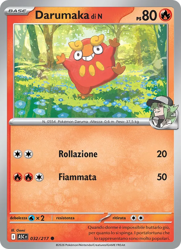 Darumaka di N (ASC 032)