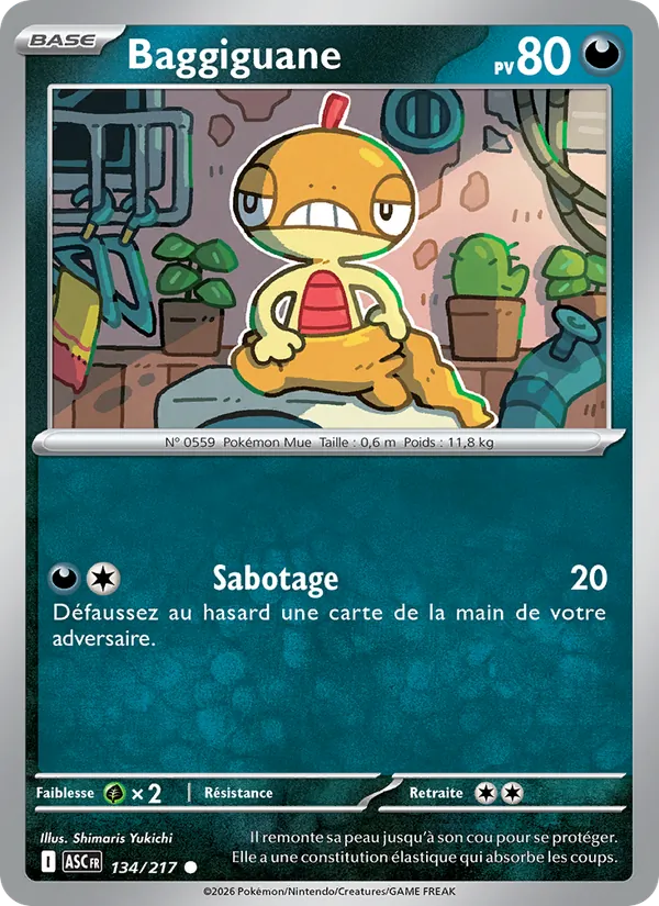 Scraggy (ASC 134)