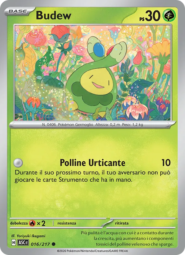 Budew (xASC 016)