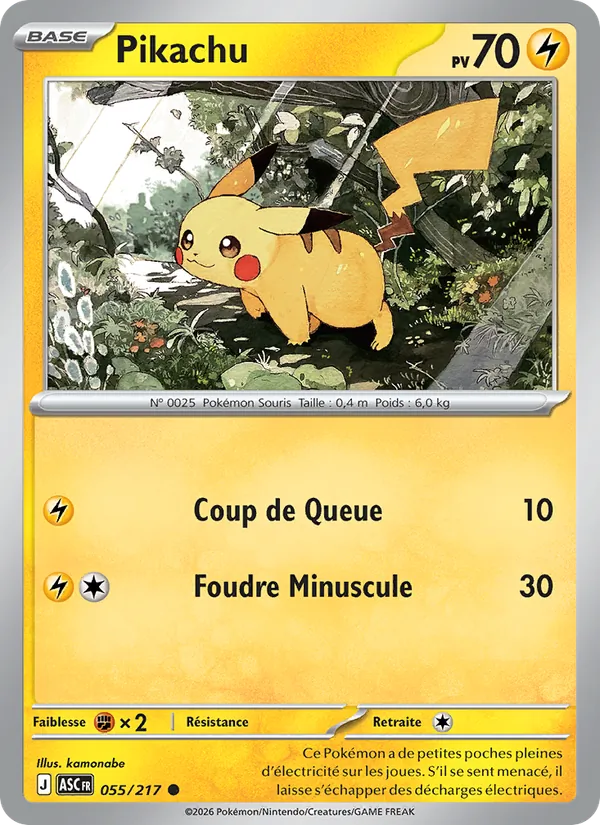 Pikachu (xASC 055)
