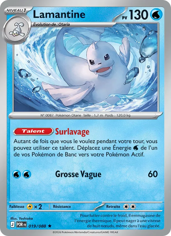 Dewgong (POR 019)