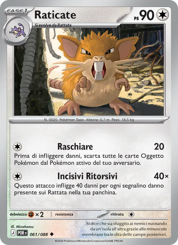 Raticate (POR 061)