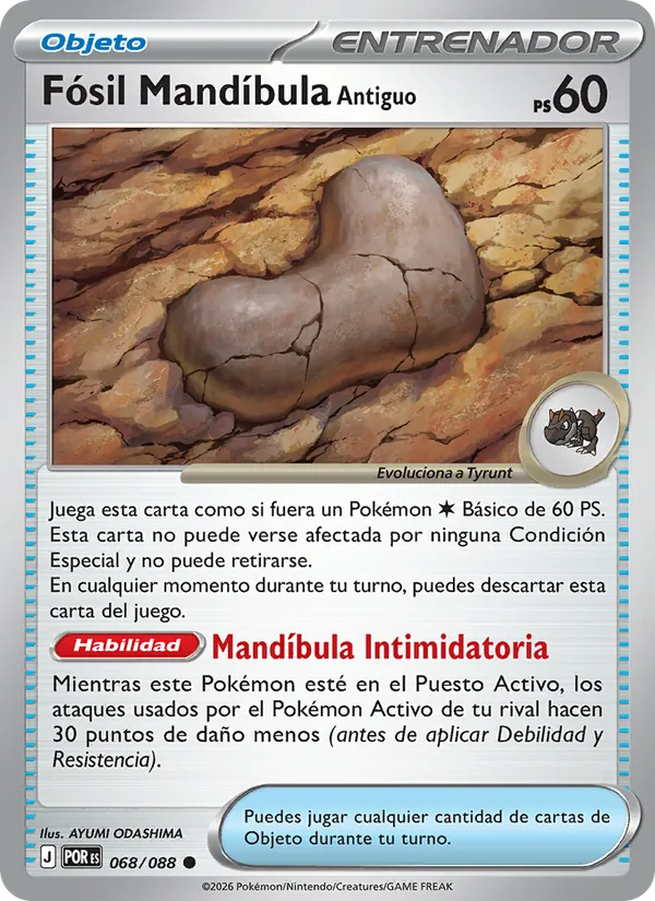 Antique Jaw Fossil (POR 068)