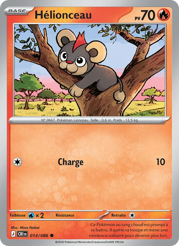 Litleo (CRI 014)