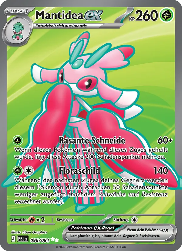 Mantidea ex (PBL 096)